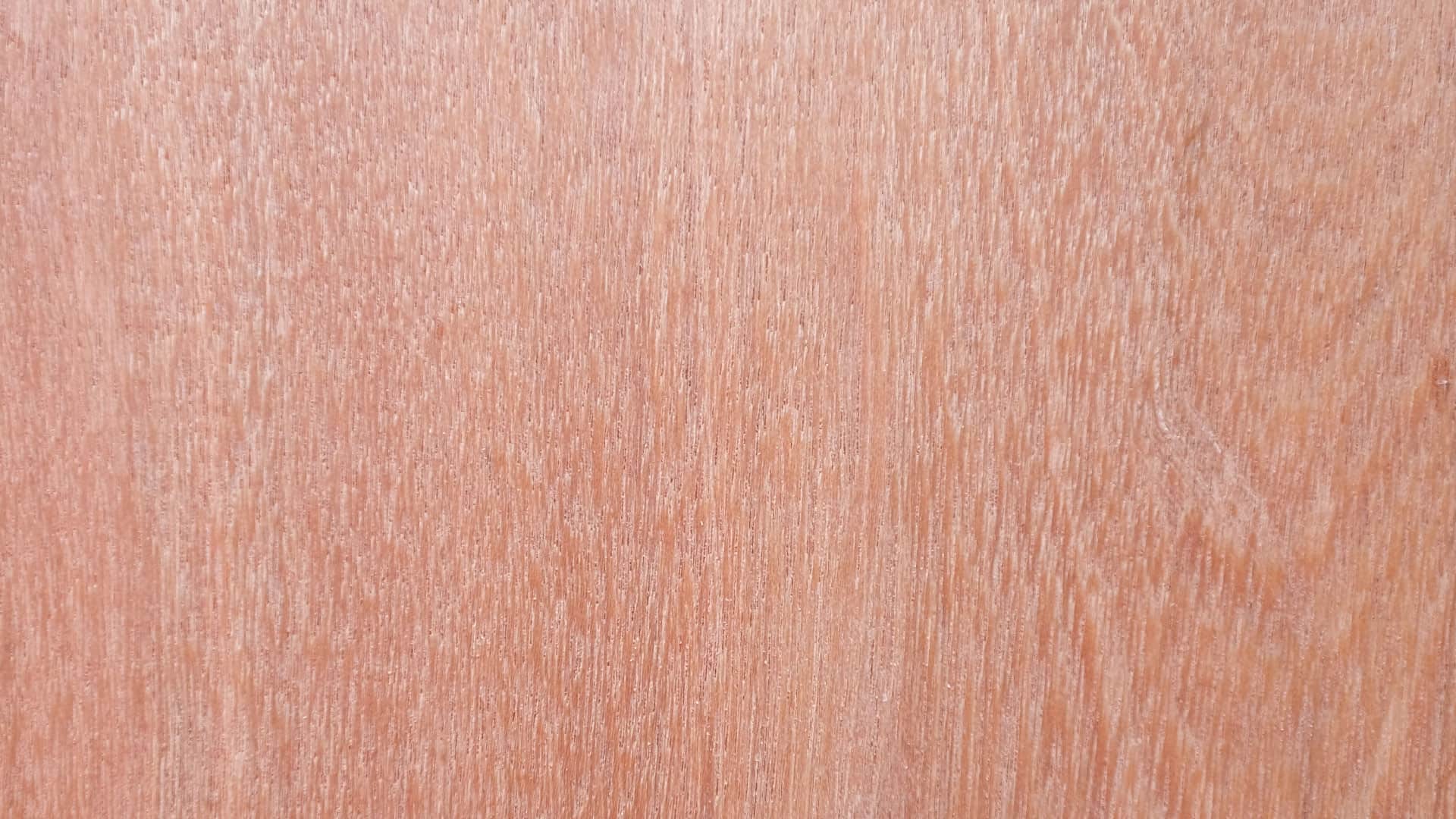 Keruing AD