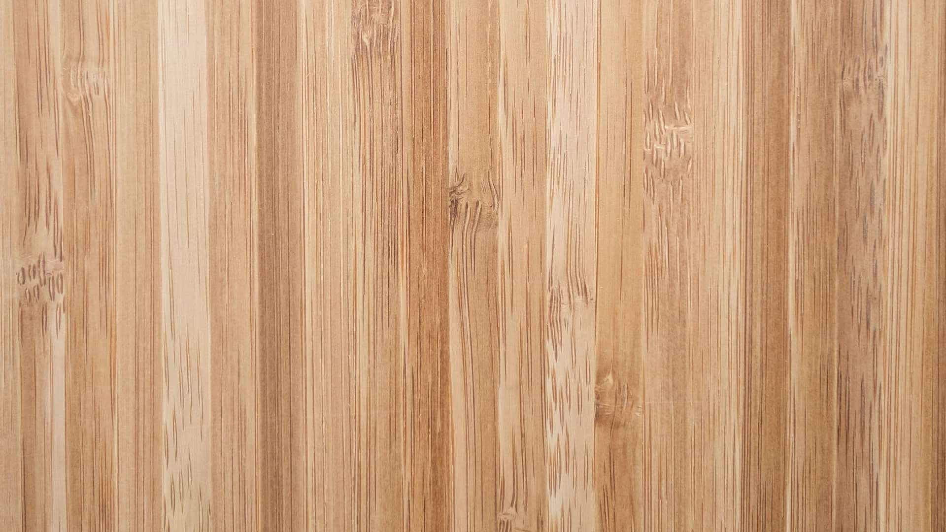 Bamboe